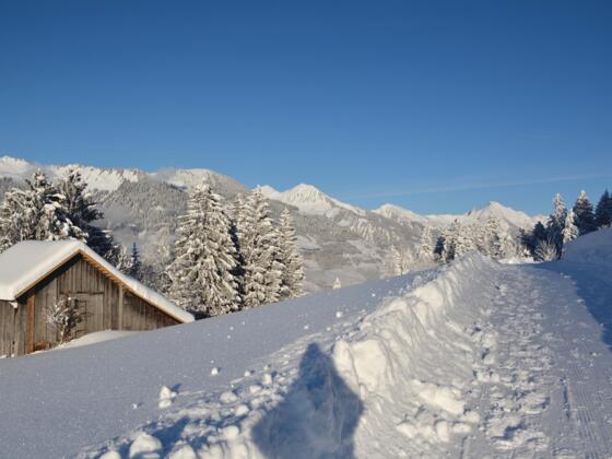 Unterwegs auf dem präparierten Winterwanderweg in Raggal