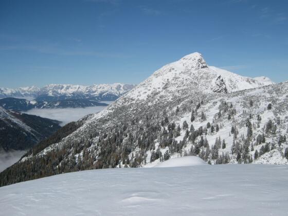 Strimskogel vom Hakopf