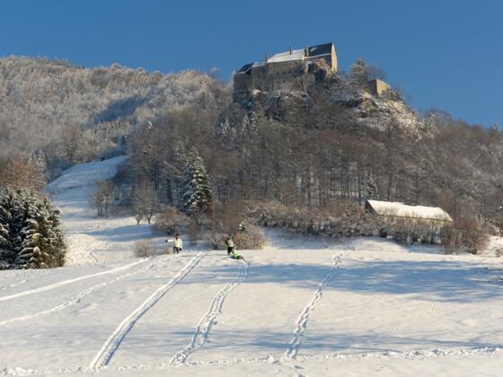 Winterwanderung - Micheldorf
