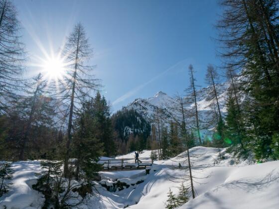 Auf dem Weg zur Grießbachalm.
