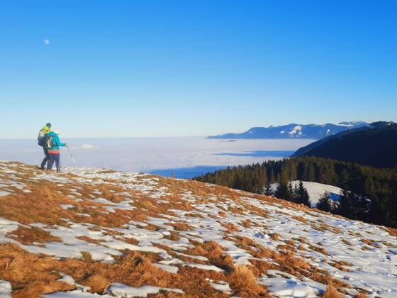 Blick vom Schwarzenberg über das Nebelmeer bis in die Chiemgauer Alpen