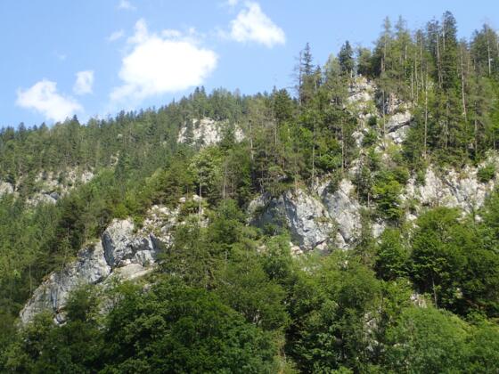 Der Klettersteig verläuft ungefähr über den bewaldeten mittleren Felsrücken