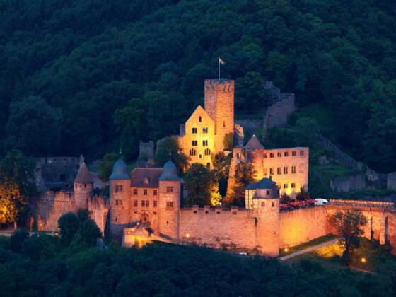 Burg Wertheim