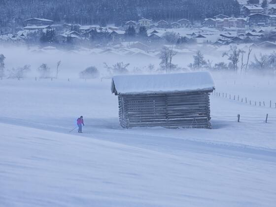 Langlaufen in herrlich ruhiger und traumhaft verschneiter Winterlandschaft