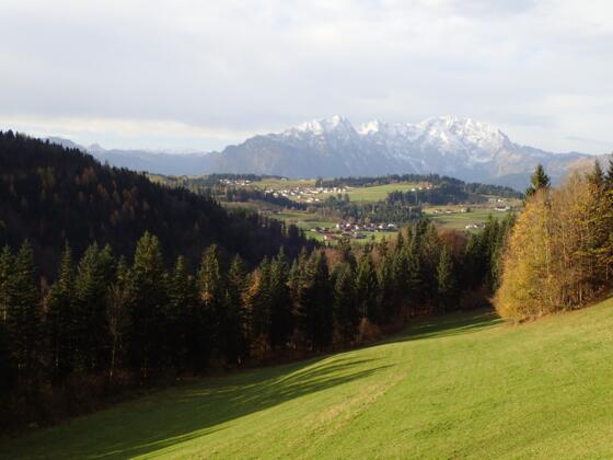 Blick über St. Koloman Richtung Göllmassiv