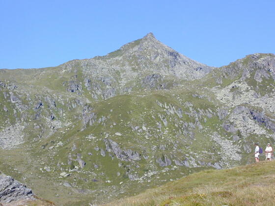 Salzachgeier