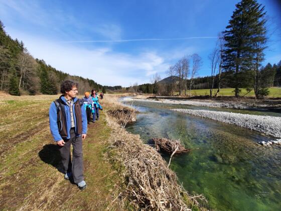 Eine Idylle für sich – der Leitzachuferweg in Höhe Oberachau
