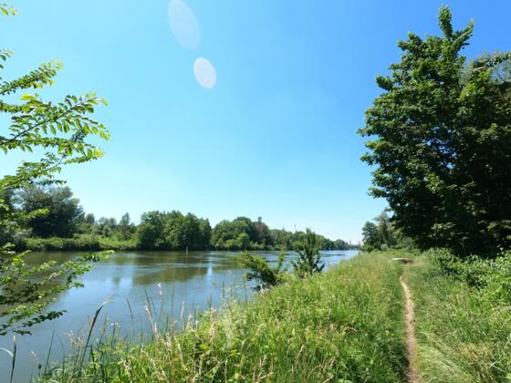 Der Donau entlang