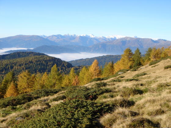Herbstliche Farbenpracht am Weg zur Preberhalterhütte