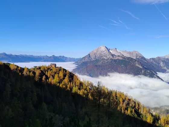 Peter-Wiechenthaler Hütte mit Birnhorn über Nebelmeer