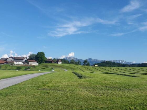 Ausblick auf die verschneiten Berge