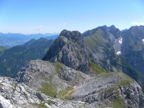 Hackenköpfe vom Scheffauer