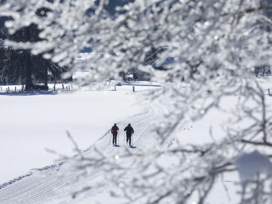 Langlaufvergnügen in der Wildkogel-Arena