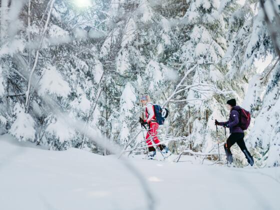 Skitour