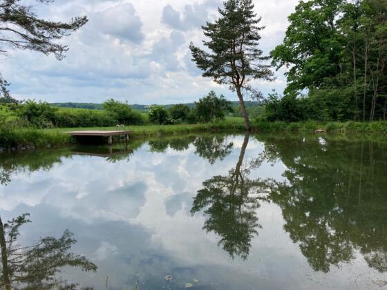Privater Teich am Wegesrand