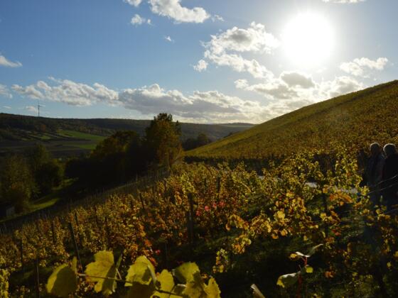 Weinwanderweg Röttingen