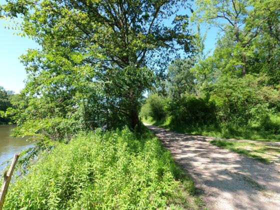 Schafirrsee Gerolfing