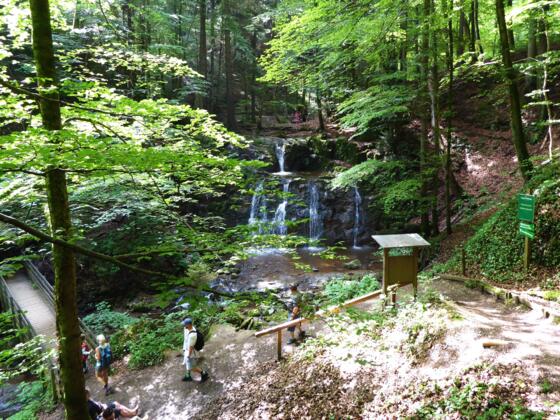Der Wildkarwasserfall im Teufelsgraben.