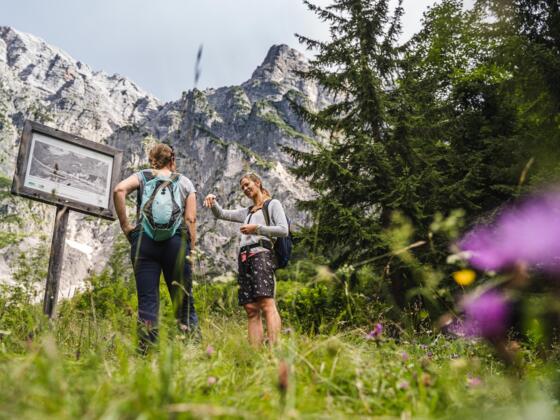 Natur und Klima Wanderung Saalfelden Leogang
