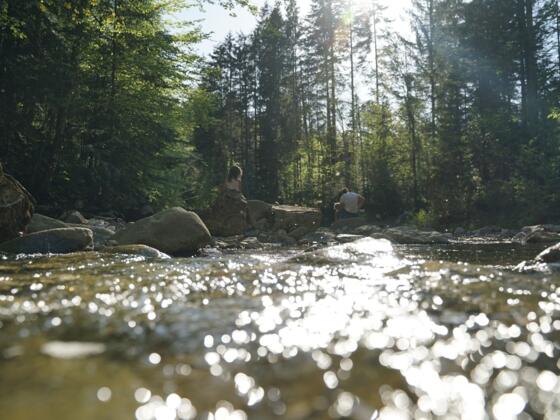 Idyllisches Steinbachtal oberhalb der Anzenbach-Mündung.