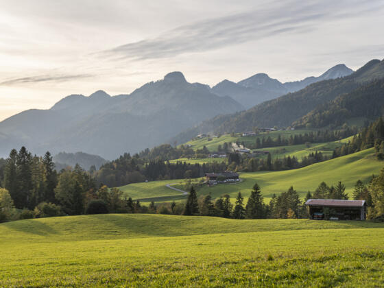 abendlicher Blick in die Chiemgauer Alpen