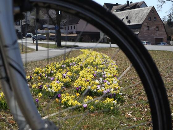Frühlingsblumen