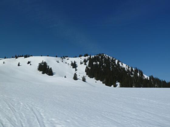 Pfrontner Alpe (1456 m) - Blick auf den Schönkahler im Winter