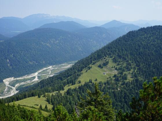 Blick auf die Weideflächen der Grasbergalm und die Isar in der Tiefe