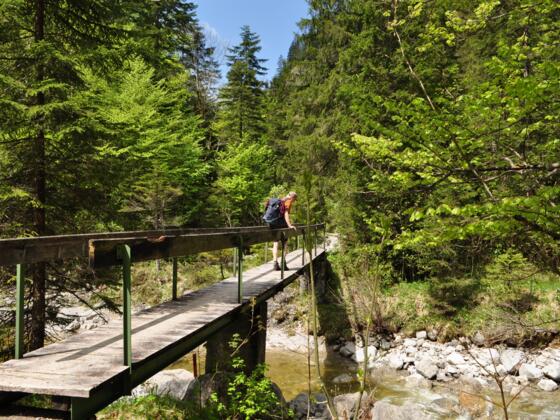 An dieser Brücke beginnt der Steig in die Rappinschlucht.