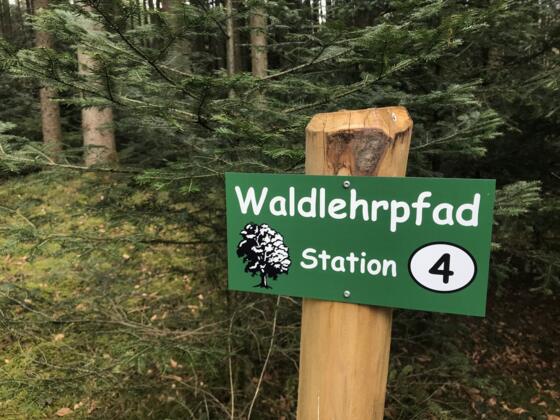 Waldlehrpfad Seebruck