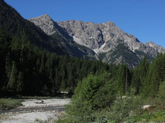 Blick vom Talboden zum Gipfelgrat