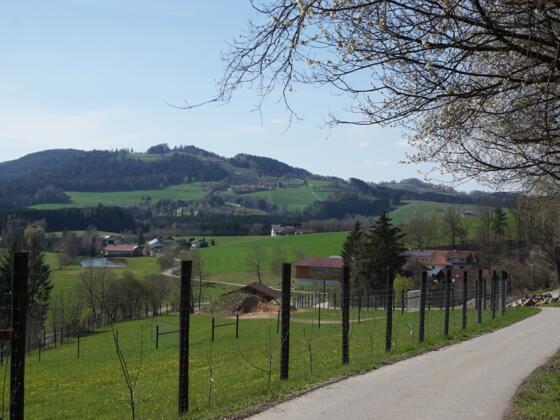 Blick zum Gallner