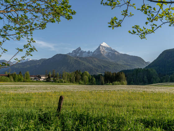 Blick von der Stanggaß