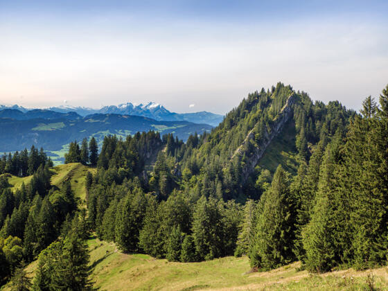 Blick vom Falken zum Hochhäderich