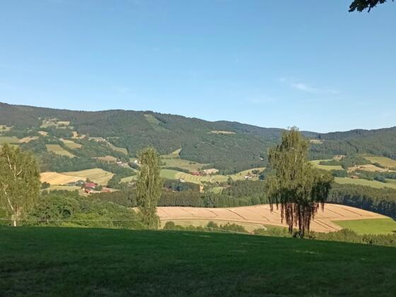 Blick zum Hinweg nach Eben und Rückweg nach Elisabethszell