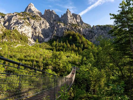 Hängebrücke im Klausbachtal