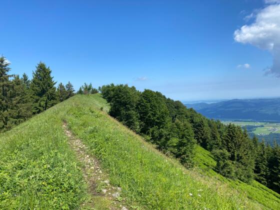 Gipfelschneid mit Blick zum Gipfelkreuz