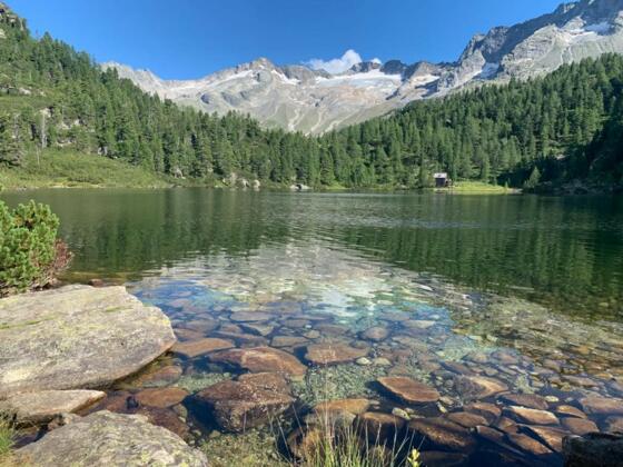 Bergwald-See Reedsee auf 1831 m