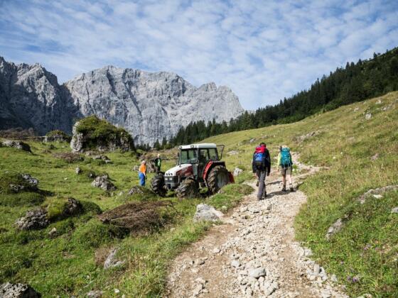 Von der Lamsenjochhütte zur Falkenhütte