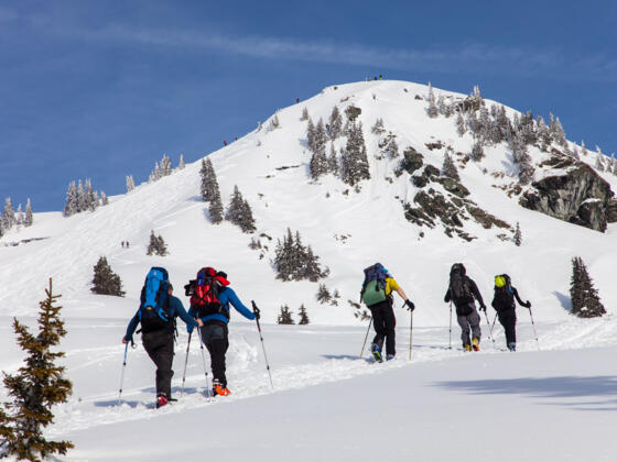 Dem Weißkopfkogel entgegen