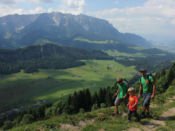 Almgelände unterhalb Hitscher Alm