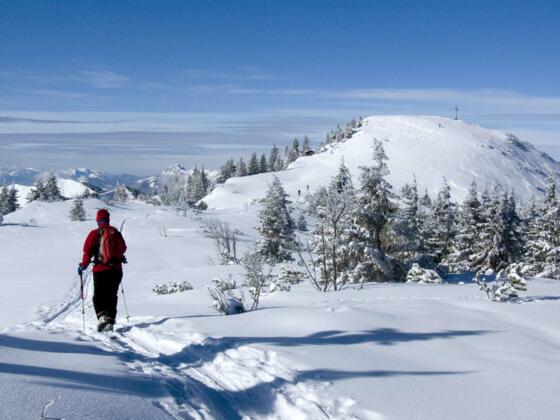 Der Hirschberggipfel zeigt sich!