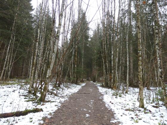 Fahrweg nach der Mautstelle