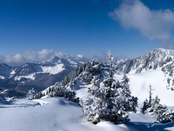 Gipfelpanorama mit Jägerkamp und Benzingspitz