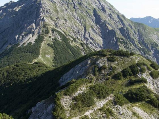 Vom Plumsjoch lässt sich der weitere Aufstieg durch die Montscheinsenke gut überblicken.