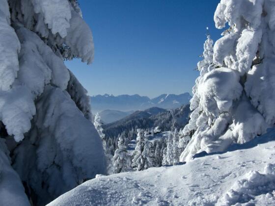 ... vor allem, wenn es viel geschneit hat.