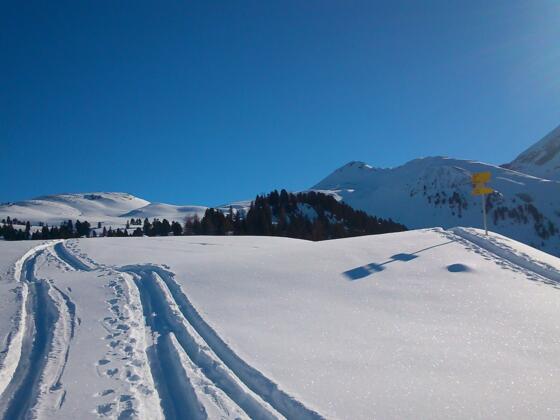 im Bereich der Furstalm ist unser Ziel bereits in Sicht