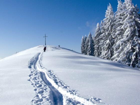 Die letzten Meter des Aufstiegs vom Blomberghaus herüber