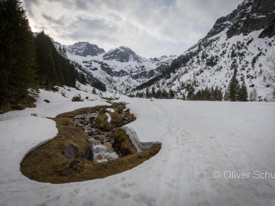 Frühjahr im Wildental