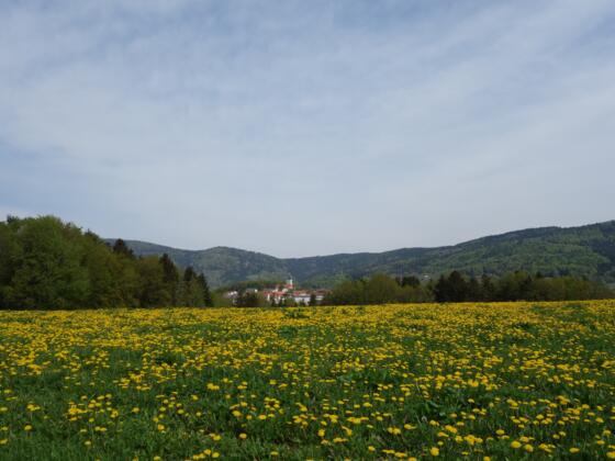 Blick auf Lalling